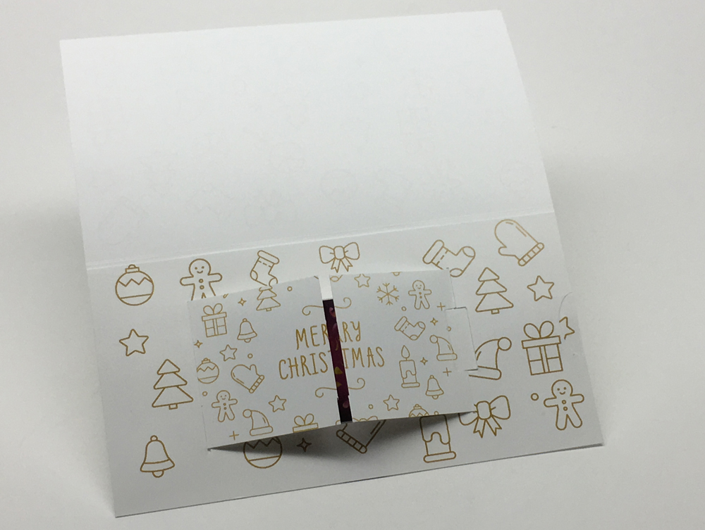 Pochette CAT – Image 2